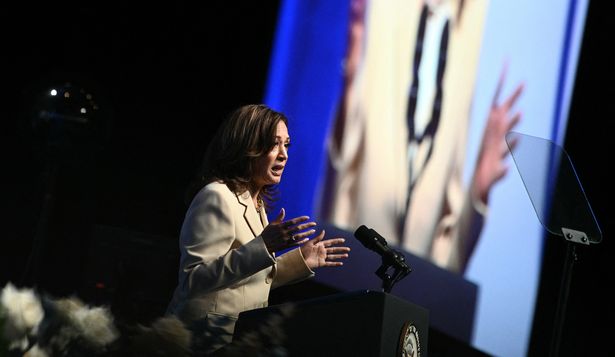 Más de una docena de políticos latinos apoya a Kamala Harris: historial y propuestas para los hispanos de EEUU