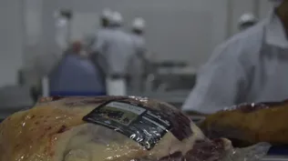 INAC divulgó un informe que hace foco en lo que implica el acuerdo entre el Mercosur y la UE.