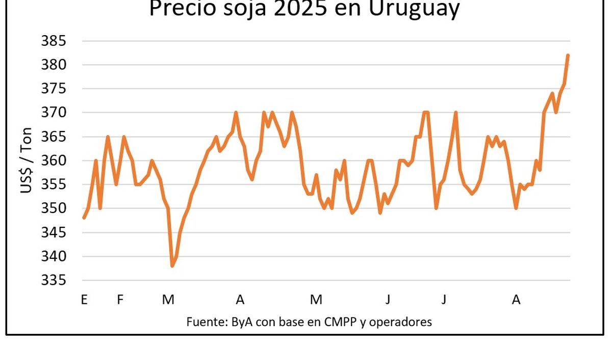 La soja marcó el precio más alto del año y, aunque es positivo, eso llega tarde
