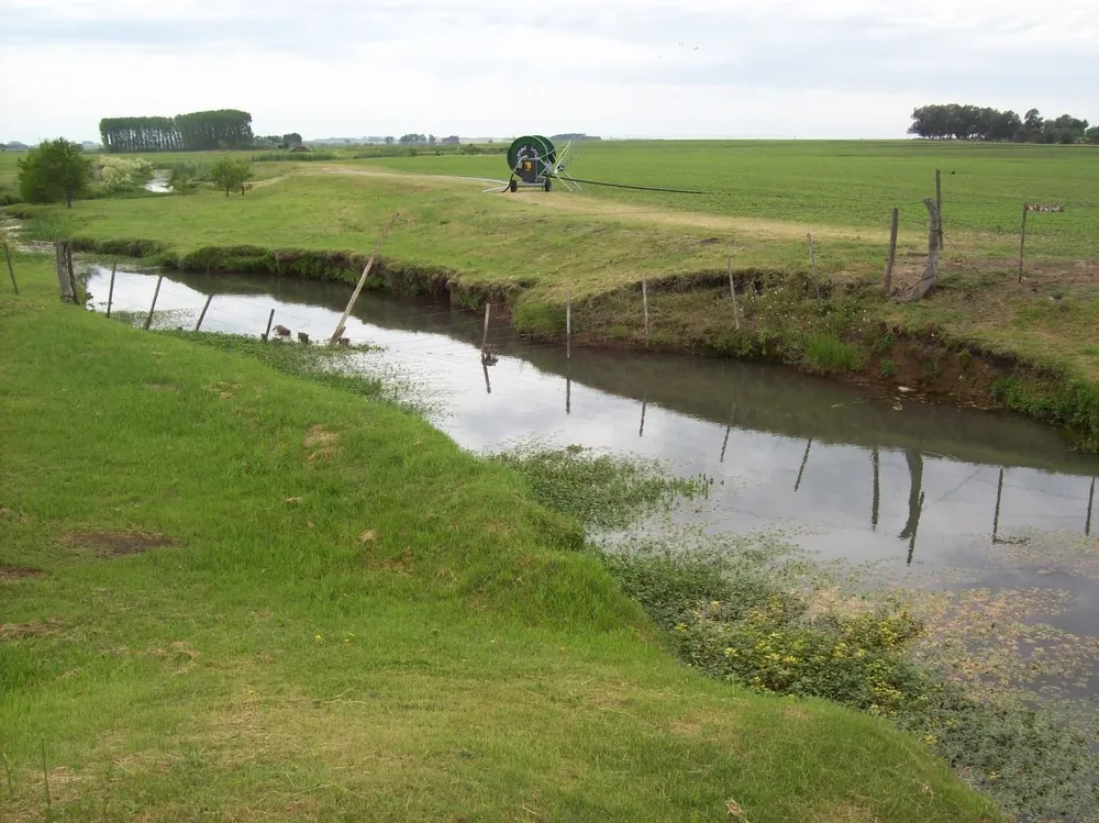 Hubo distintos cambios con base en cada rubro de la agropecuaria.