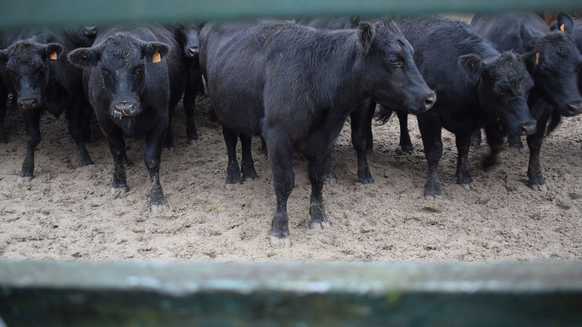 Intendentes declararon su voluntad política para derogar el 1% que pagan los productores, falta diseñar la compensación