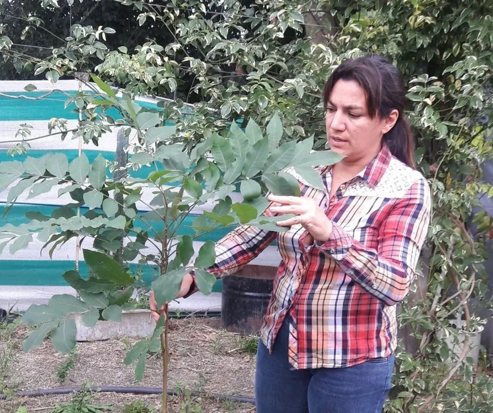 Ana Laura Sastre, junto a Luis López, dirige el vivero Imperio Verde.