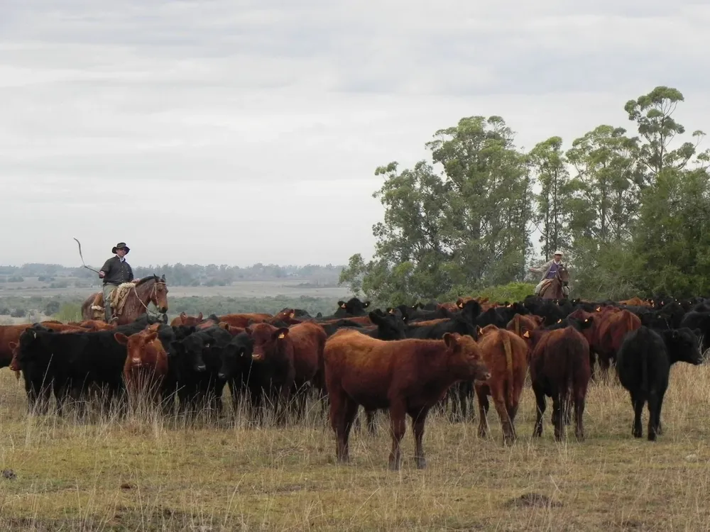 Trabajadores rurales.