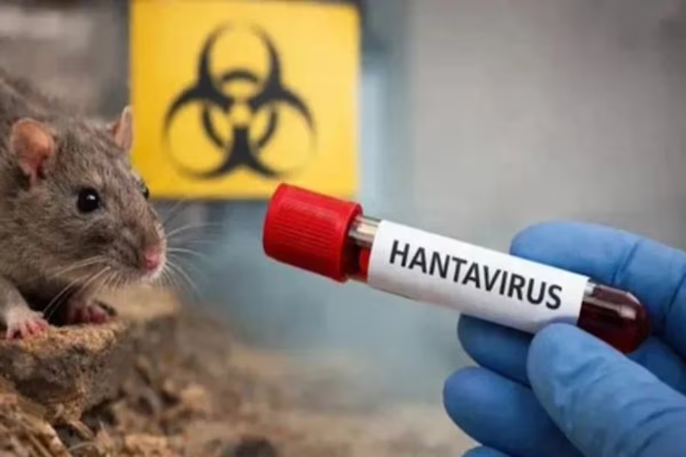 Hantavirus en Argentina