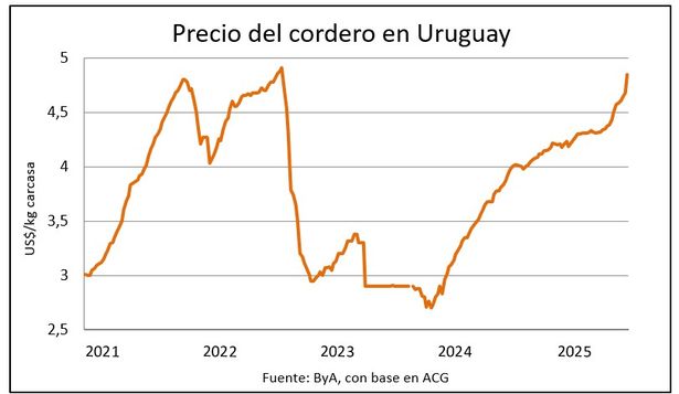 Carne ovina y la materia prima con valores tonificados.
