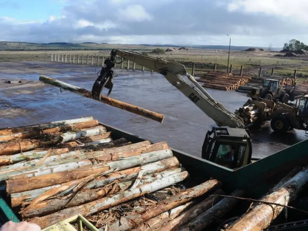 La extracción de madera registró el mayor aumento de precios mayoristas
