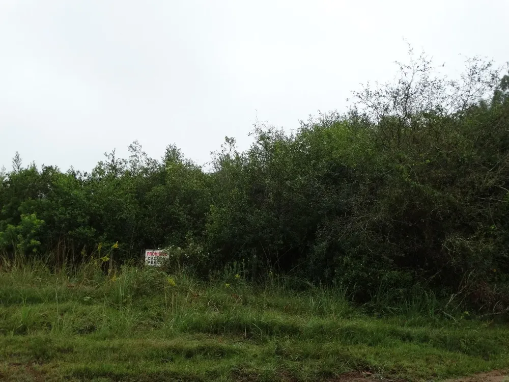 El área de monte nativo es objeto de una especial vigilancia.