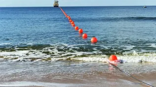 ANTEL prepara el terreno para vender internet en el exterior