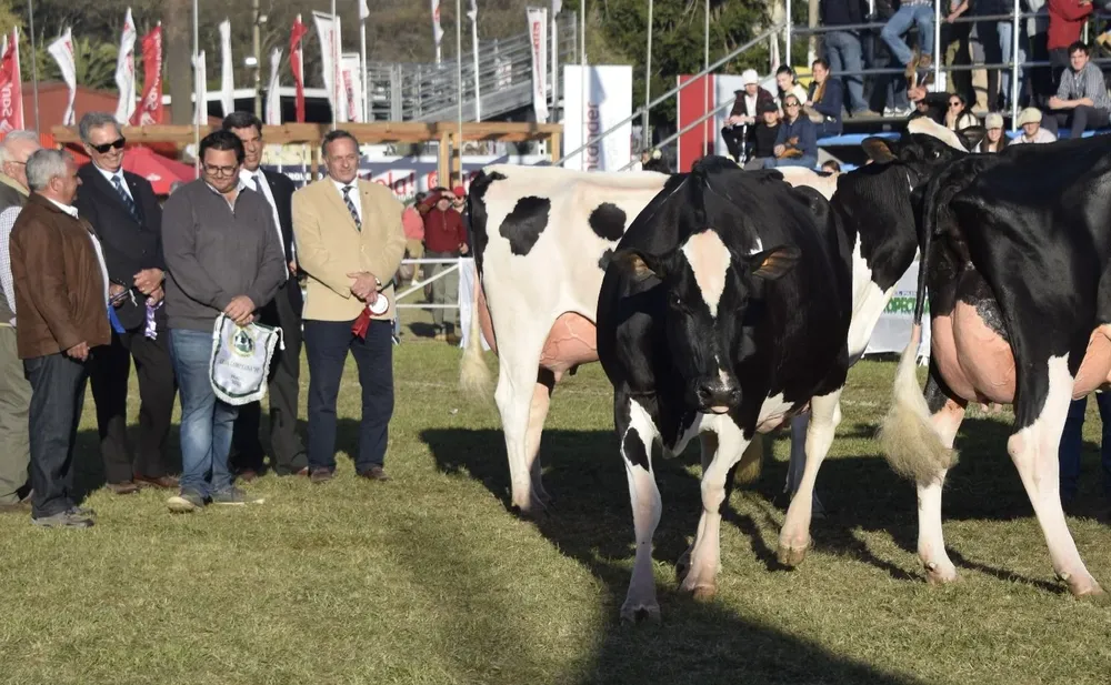 La Gran Campeona PI se escapó durante la premiación.