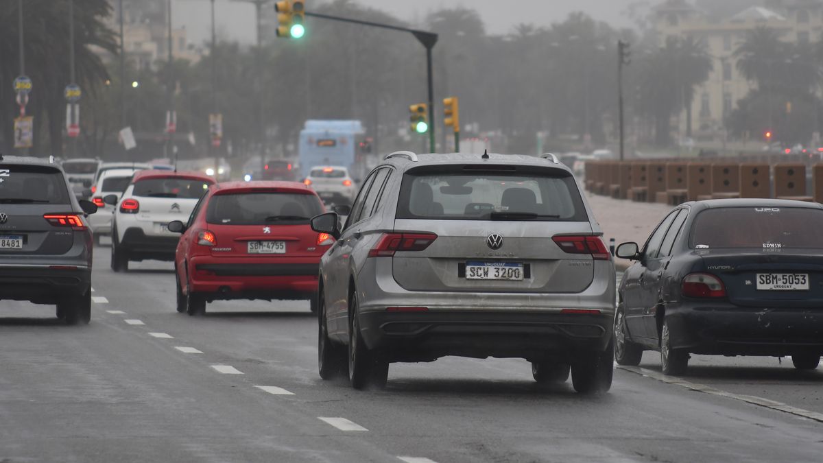 Descuento en pago de multas: cómo acceder al 50% de bonificación en infracciones a la hora de pagar la patente