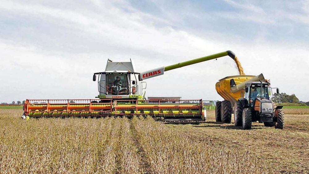 02112024campocosechacedocg-1903649