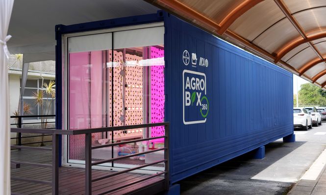 Agricultura urbana: IICA destaca que puede aportar soluciones para la seguridad alimentaria y nutricional en las Américas. &nbsp;