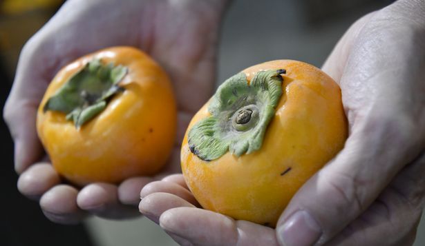 Lista Inteligente: caquí, uno de los nueve rubros considerados.