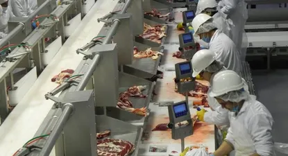 La industria registró la mayor caída del empleo en ocho años