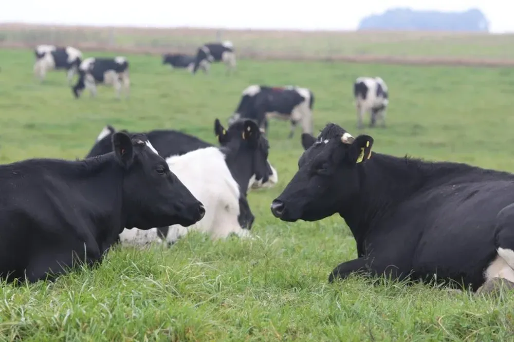 Se entiende que los productores lecheros no están en condiciones de pagar doble cuota de amortizaciones