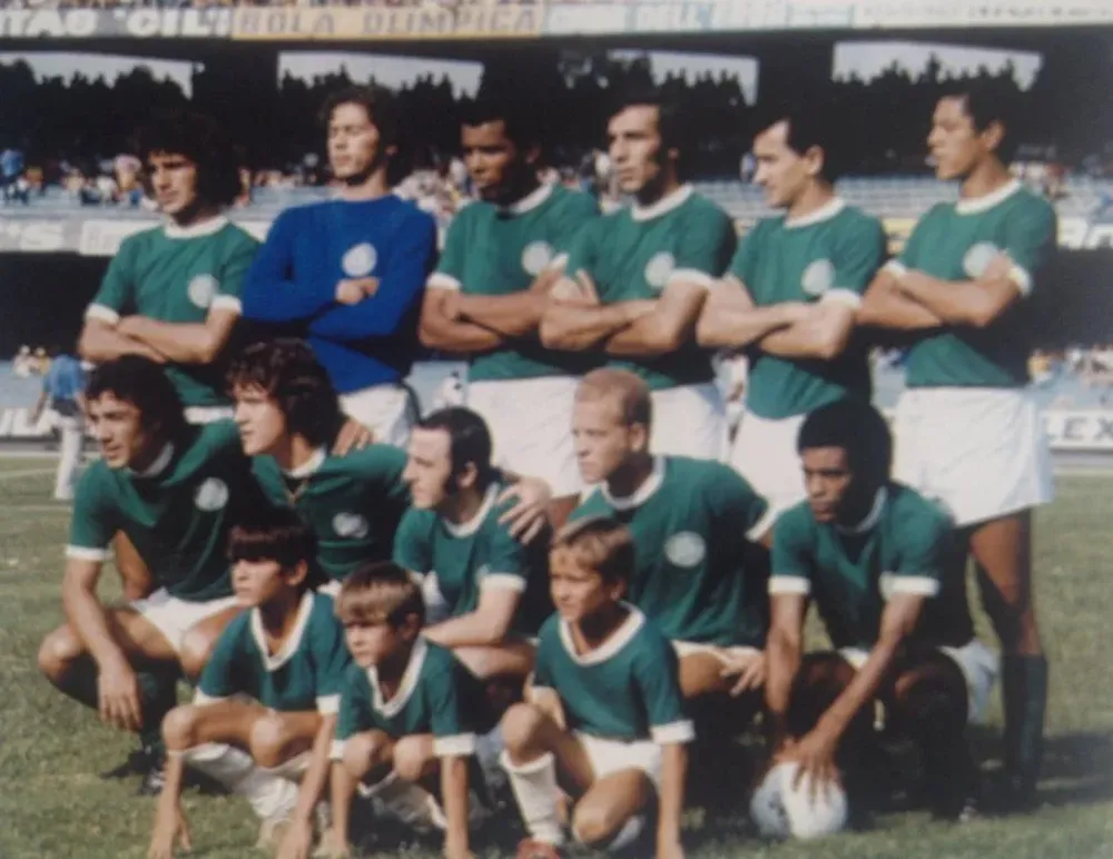 Palmeiras en la Copa Libertadores de 1973