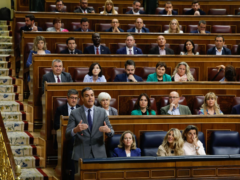 Pedro Sánchez en el Congreso de los diputados.