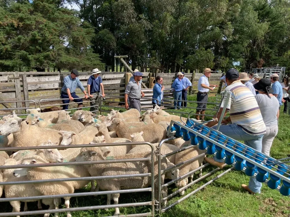 Jornada anual de productores.