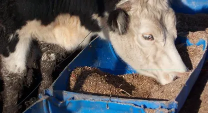 El Observador | 0001709063.webp