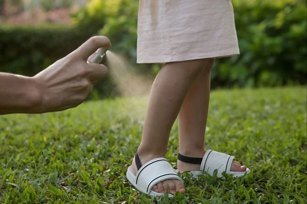 El ministro de Salud de la Ciudad de Buenos Aires Fernán Quirós sostuvo que hay que proteger los tobillos del aedes aegypti, el mosquito que transmite el dengue