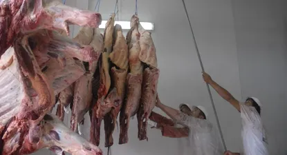 ejecutivos de la estadounidense national beef visitaron el frigorifico tacuarembo