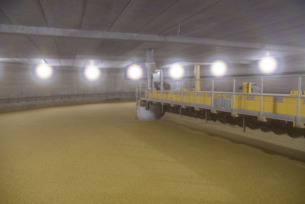 Secadora de malta Secadora de malta