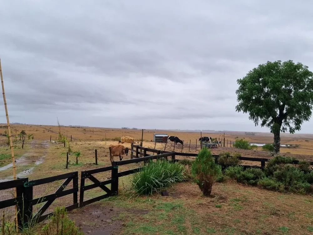 La alerta afecta a cinco departamentos
