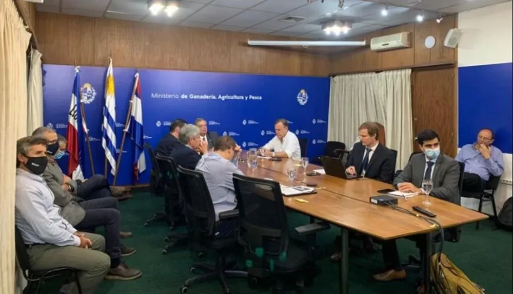 La actividad se desarrollo con la modalidad de videoconferencia.