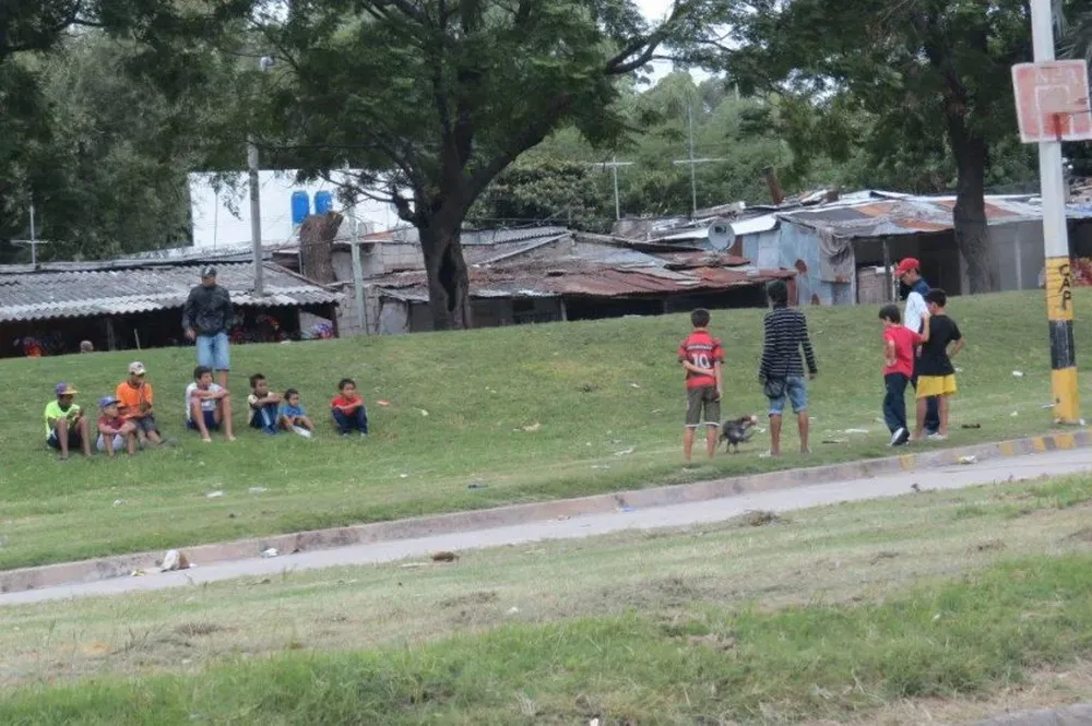 Gallos de riña peleando en la vía pública
