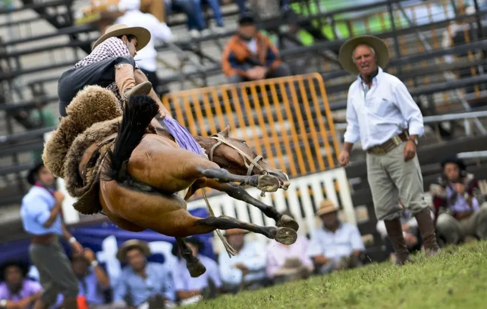 Jineteadas: se acentúa la polémica.