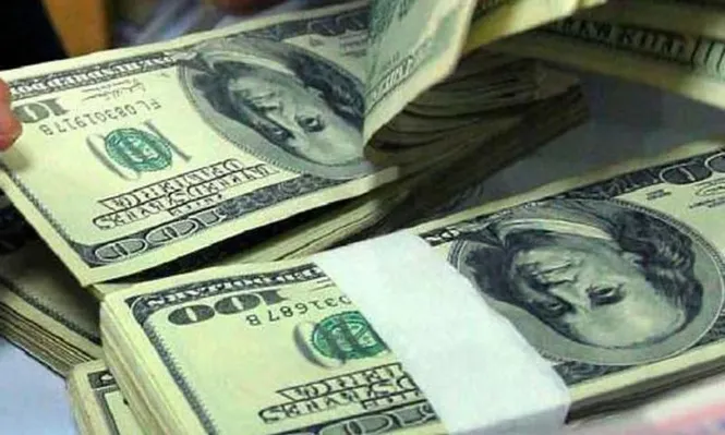 Leve suba del dólar
