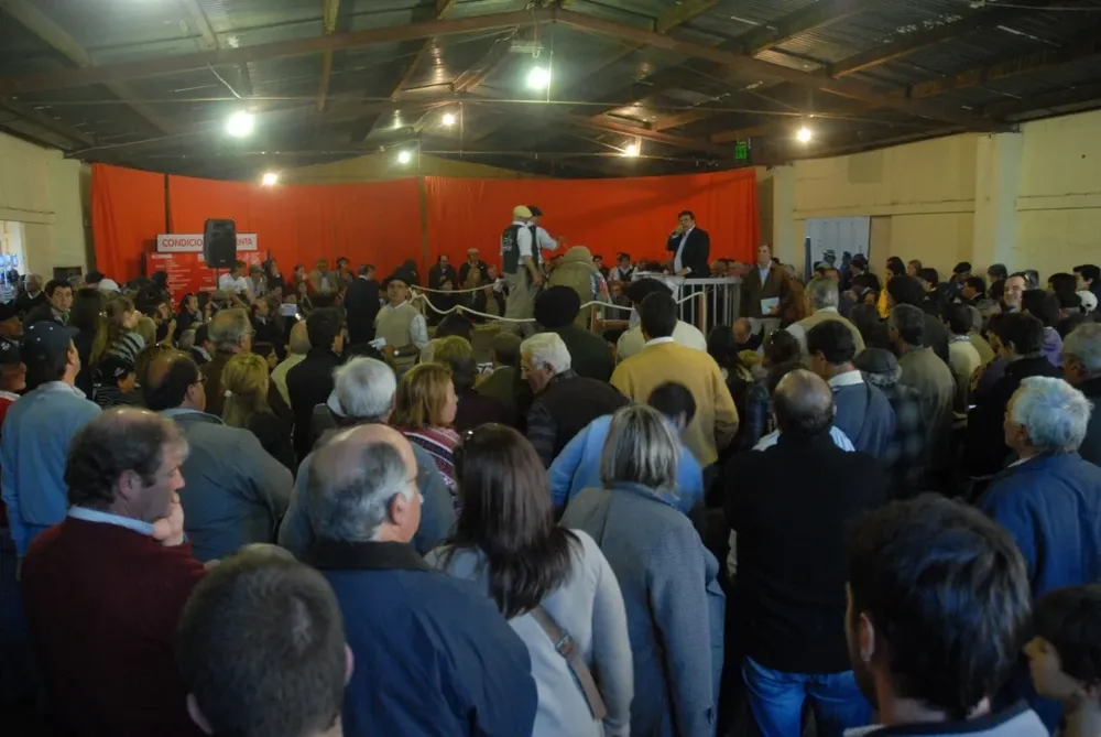 Muchísimo público concurrió a las ventas de la raza ovina más numerosa