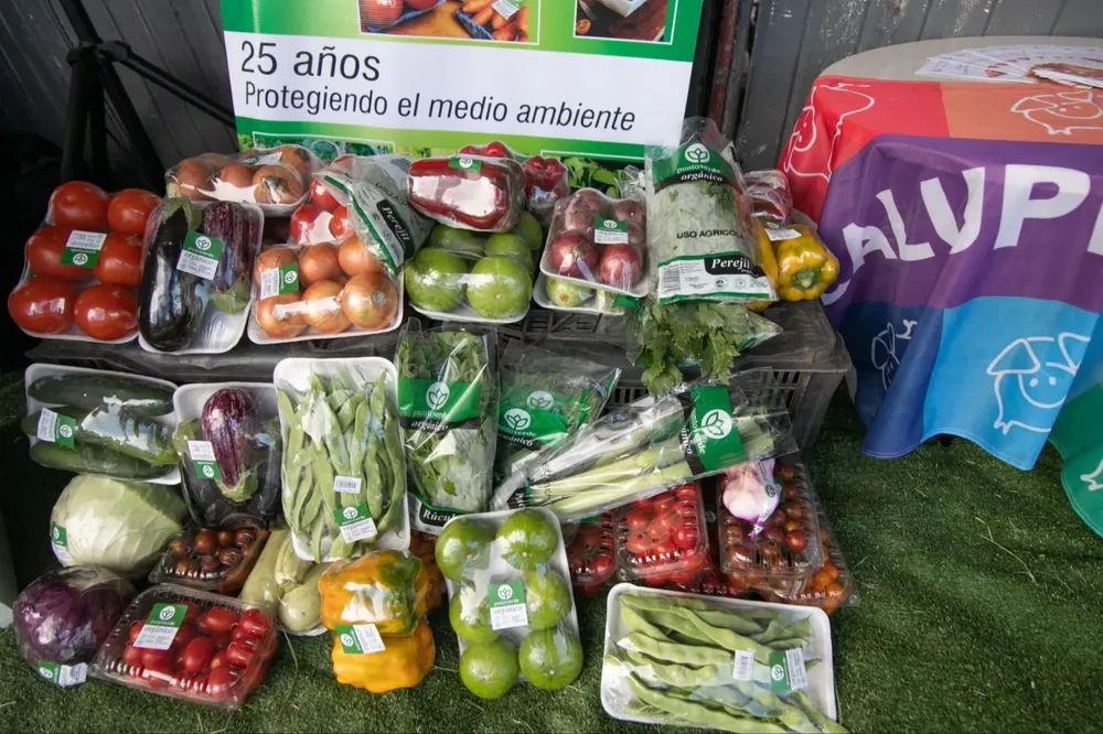 Productos agrolimenticios de cooperativas rurales.