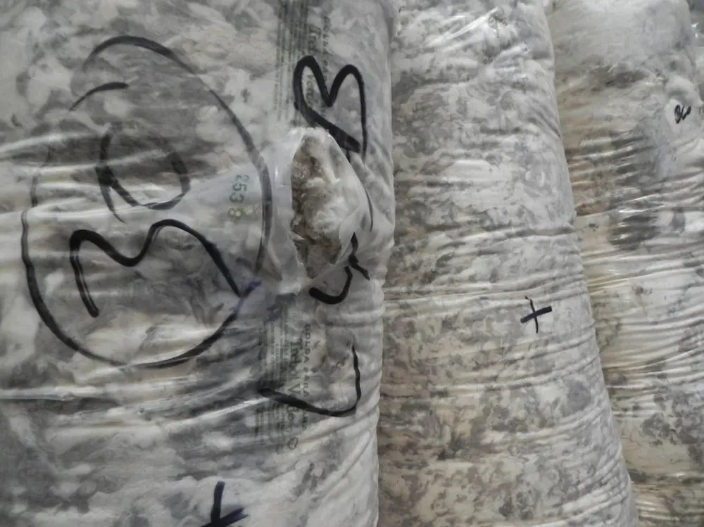 La actividad local se concentra en lanas medias.