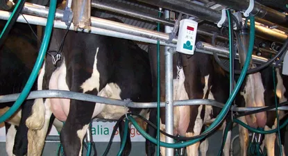 brasil: se frena el alza en precios de la leche