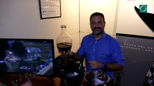 Salón del vino uruguayo: enoturismo, historia y gastronomía en Punta del Este