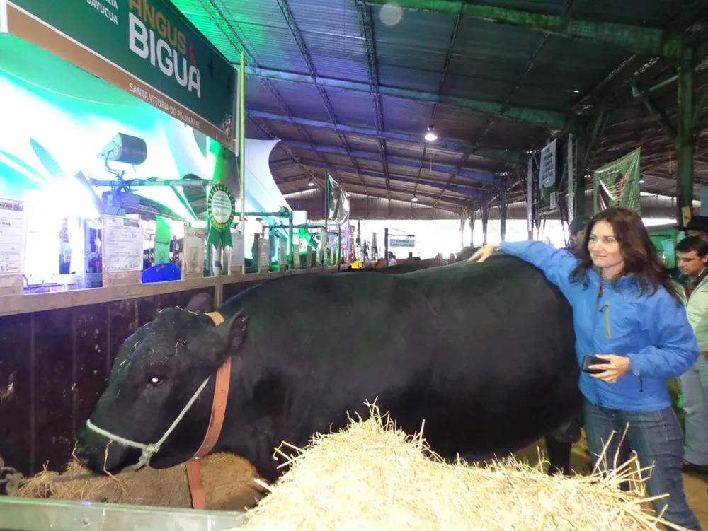 María Mattos junto al Tercer Mejor Macho de la Expointer 2013