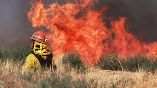 Incendios forestales en Los Ángeles: el viento alimenta el fuego y complica el trabajo de los bomberos