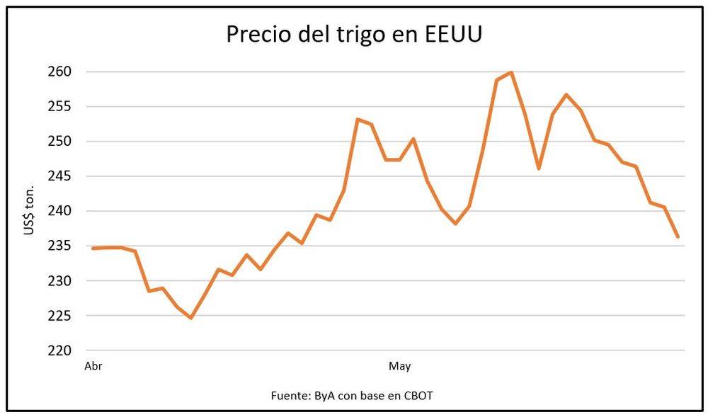Trigo: derrumbe del precio justo cuando se inicia una nueva zafra de producción en Uruguay.