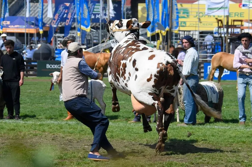 Un breve momento de tensión en el ruedo de la Rural del Prado.