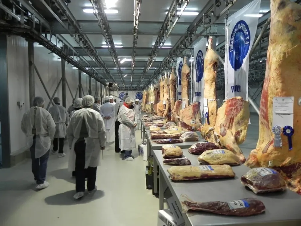 Uruguay sobresale en el mundo en materia de bienestar animal