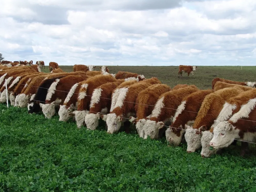 La referencia es de las más altas desde 2007