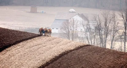pedidos de bancarrota en el agro de estados unidos suben un 20%