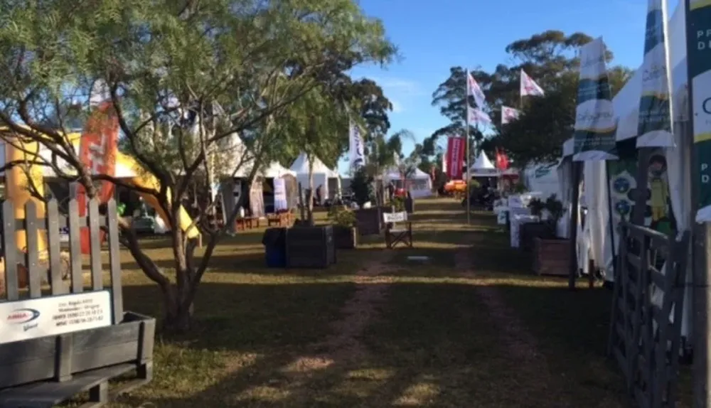 Feria de Prolesa abrió con varias novedades para el sector