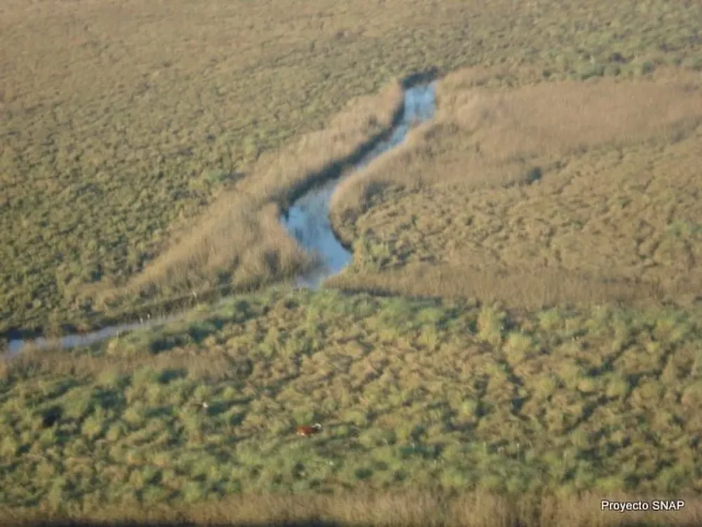 Los humedales del río Santa Lucía son parte del Sistema Nacional de Áreas Protegidas.