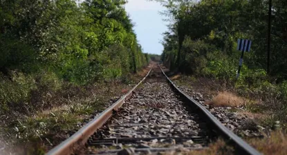 las dos empresas que pujan por tren de upm elevaron sus descargos; gobierno resolvera rapido