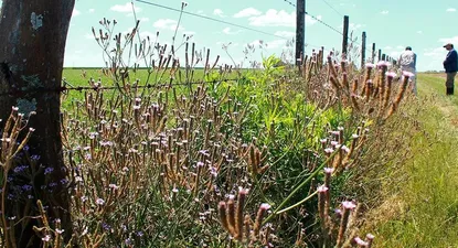 El Observador | proyecto-paisajes-multifuncinales-002-1200x628.webp