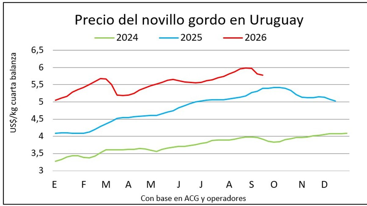 La gran duda en el mercado, ¿se llegó al piso de precios para el ganado gordo?