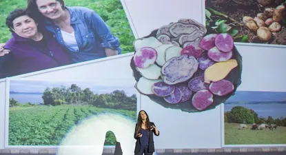 “No dejamos que los supermercados nos impusieran el ritmo”