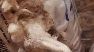 Mercado lanero: nuevas referencias de negocios locales.